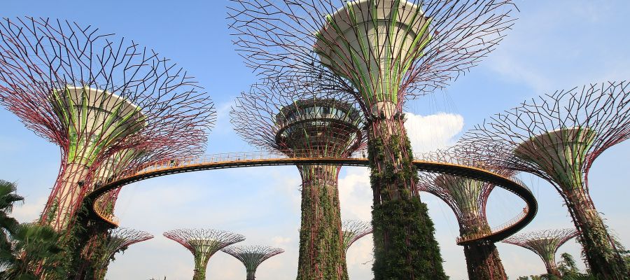 Singapore Garden